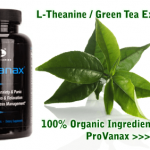 Provanax Ingredient L-Theanine