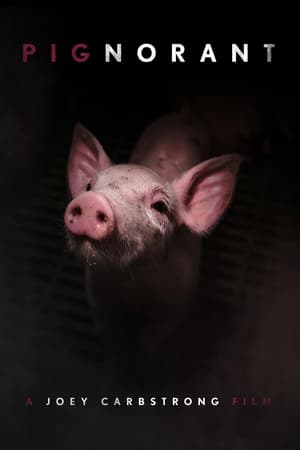 Nonton Film Pignorant (2024) Terbaru Nonton Film Pignorant (2024) Terbaru