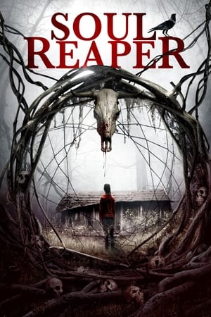 Nonton Film Soul Reaper (2019) Terbaru Nonton Film Soul Reaper (2019) Terbaru