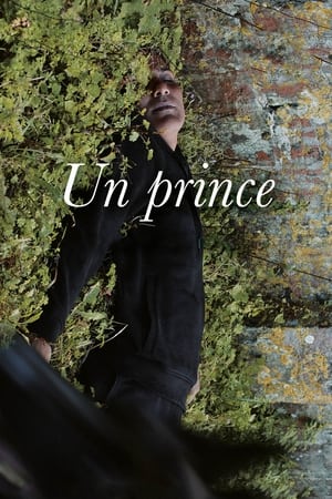Nonton Film A Prince (2023) Terbaru Nonton Film A Prince (2023) Terbaru