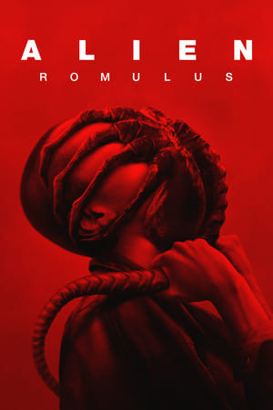 Nonton Film Alien: Romulus (2024) Terbaru Nonton Film Alien: Romulus (2024) Terbaru