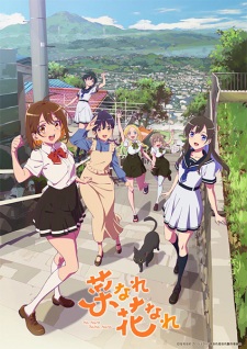 Nonton Film Na Nare Hana Nare – Episode 2 Terbaru