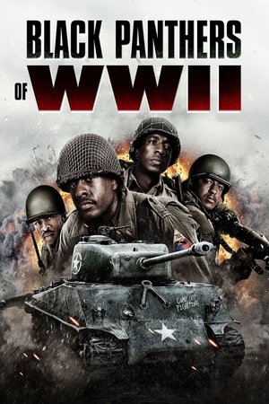 Nonton Film Black Panthers of WWII (2025) Terbaru