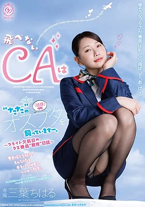 Nonton Film DLDSS-543 Buku Harian Pelatihan pada Hari Pembatalan Penerbangan – Mitsuba Chiharu Terbaru